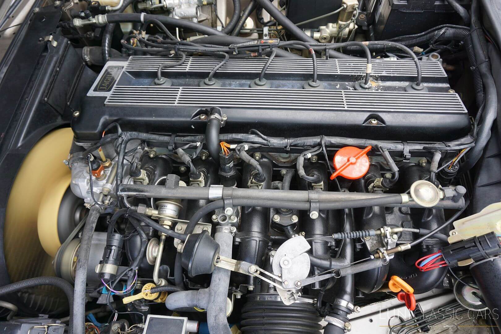 <trp-post-container data-trp-post-id='48723'>1987 Jaguar X40 Sovereign